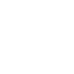 Consultation & Training
